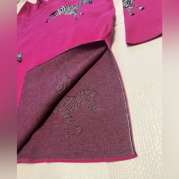 Shop The Mint Pink Zebra Print Sweater
Size Small - Picture 3 of 7